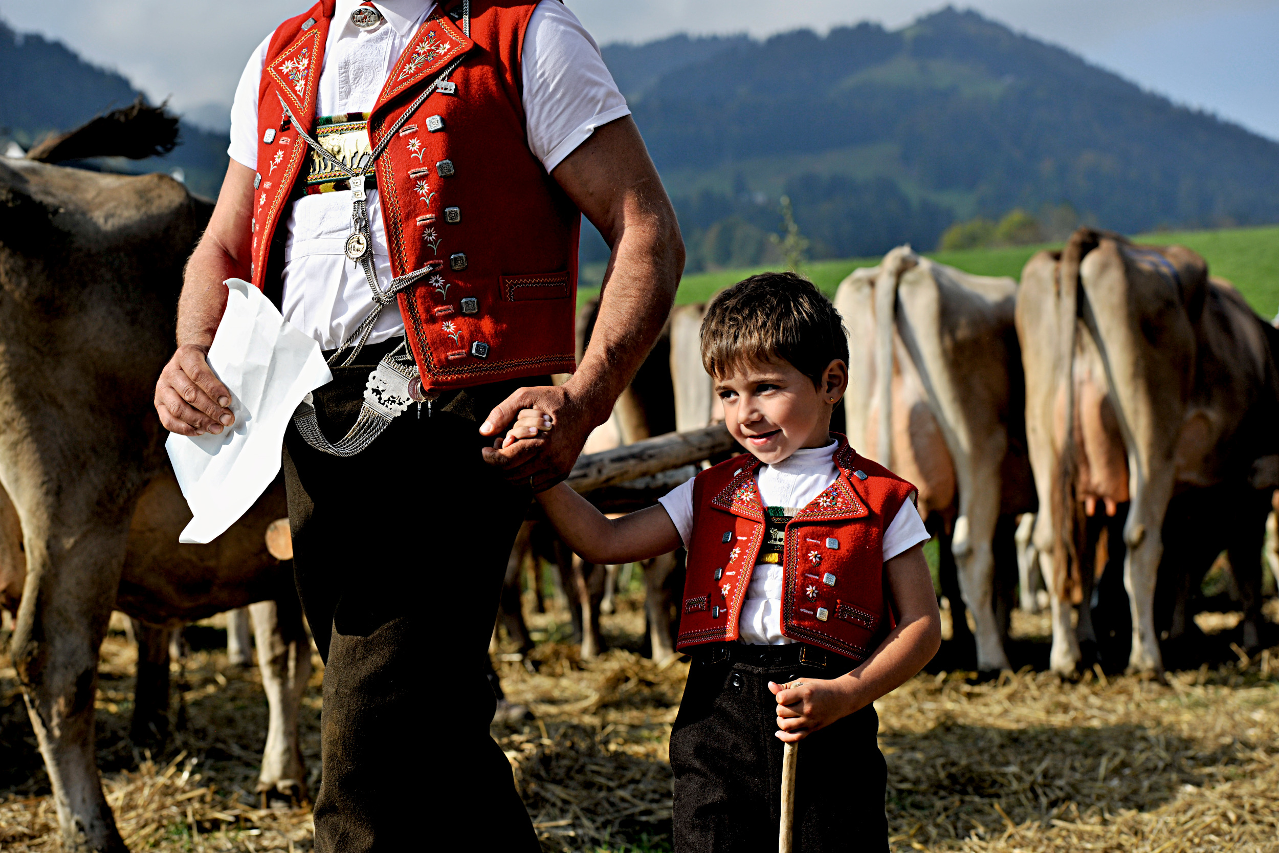 ST_3x2_Nesslau-Krummenau-cattle-show_23109.jpg